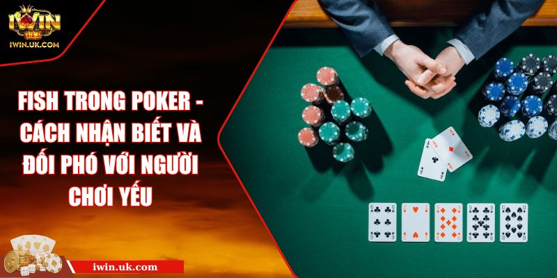 Fish Trong Poker - Cách Nhận Biết Và Đối Phó Với Người Chơi Yếu