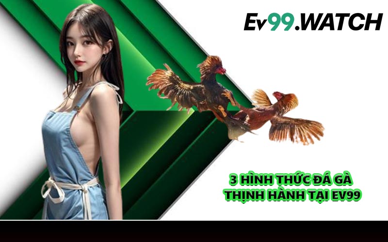 3 hình thức đá gà thịnh hành tại EV99