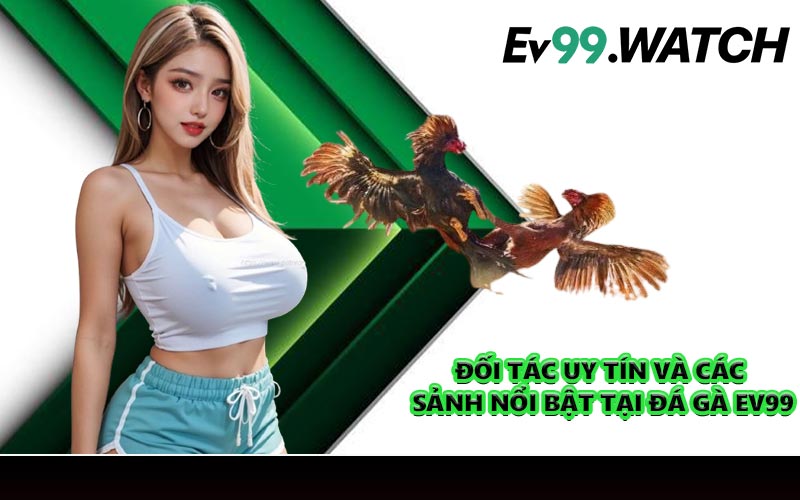 Đối tác uy tín và các sảnh nổi bật tại đá gà EV99