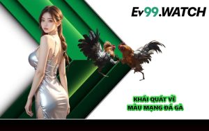 Khái quát về màu mạng gà đá