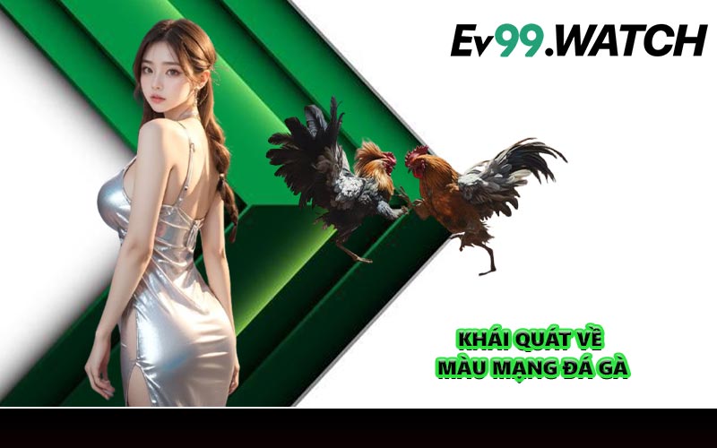 Khái quát về màu mạng gà đá