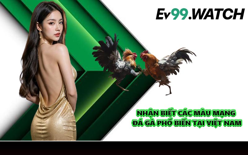 Nhận biết các màu mạng đá gà phổ biến tại Việt Nam